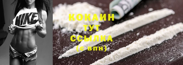 соль ск Горняк