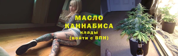молекула духа Горнозаводск