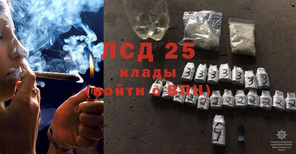 молекула духа Горнозаводск