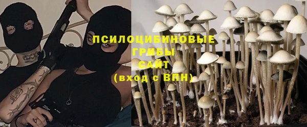 молекула духа Горнозаводск